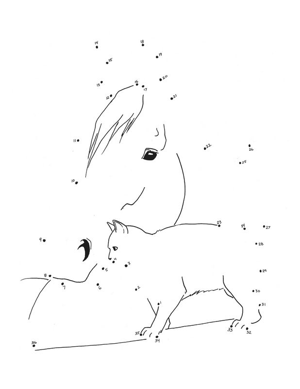 Chat et cheval ensemble